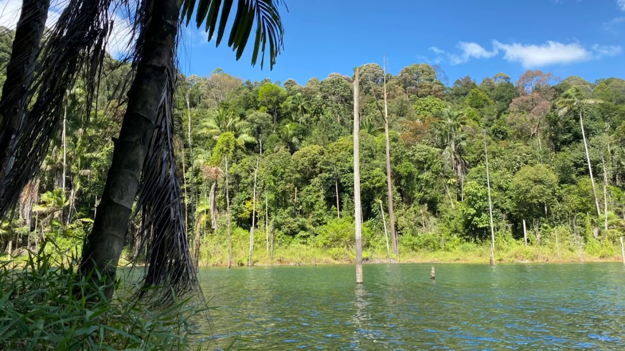 Taman Negara Bukit Lambir - Dengan air terjun dan kolam terpencil yang