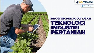 Prospek Kerja Jurusan Teknologi Industri Pertanian