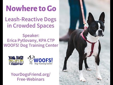 Nowhere to Go! – leash reactive dogs in crowded spaces 8-27-2022