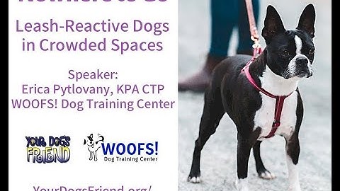 Nowhere to Go! – leash reactive dogs in crowded spaces 8-27-2022