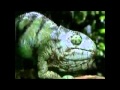 Budweiser Frogs Commercials (1995-2001)