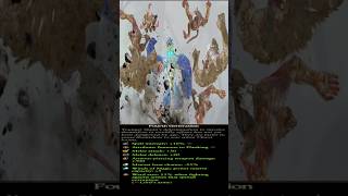 Somethings Very Wrong With The 4Th Generation Slann...