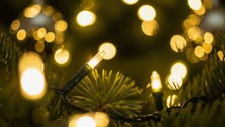 Soft Tree Light — Relaxing Christmas Instrumental Music screenshot 5