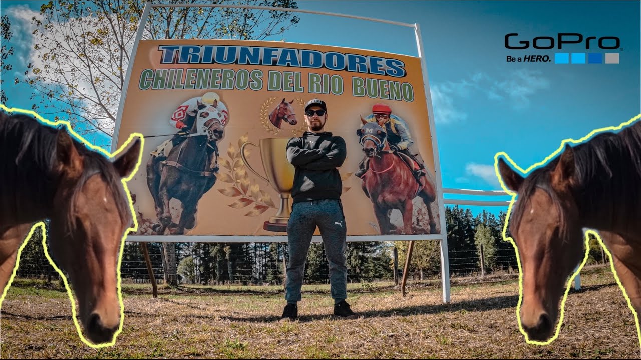 Rio Bueno | Pero en Caballo🐎 en 4K | 