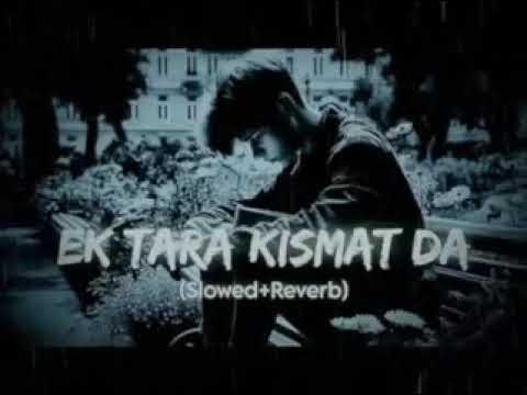 Ek Tara Kismat Da (Showed + Reverb) Broken Hindi Night 🌌 Song "Alone Lofe Song