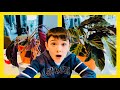 Enzo Revives His Mom’s Dying Plant | Amazing Timelapse Plant Resurrection | @EnzoTVidz