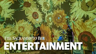 'Surprise and Delight Around Every Corner.' See Inside the Van Gogh Immersive Experience