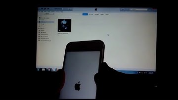 How to unlock iPhone 6s Rogers using Cellunlocker