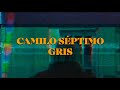 Gris - Camilo Séptimo