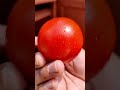 Fresh Tomato Challenge 🍅🔥Village Style Fun Video 😄Simple Life, Big Smile ❤️Tomato Magic Experimen