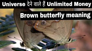 Universe देने वाले हैं Unlimited Money Brown Butterfly Meaning brownbutterfly butterflymeaning