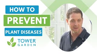 How to Prevent Powdery Mildew and Other Plant Diseases
