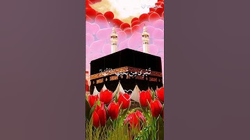 قران كريم بصوت خاشع اكتب يا رب العالمين للهم صلى على محمد وآل محمد الطيبين الطاهرين