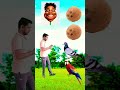 Rounding coconut to Duck, Peacock, Pigeon& Parrot - Birds names magic video