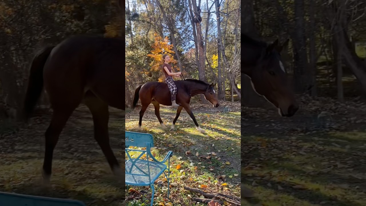 BRIDLESS RAZZY someone remind me to consistently do this -k  