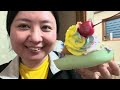 Meu fim de semana maravilhoso no Japão 🥰