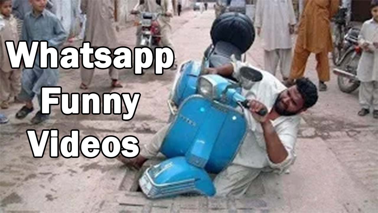 New Funny Videos Try Not To Laugh challenge Whatsapp Funny