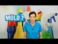 Mold - How to Prevent Mold and Mildew