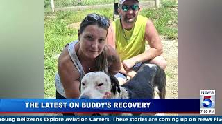 The Latest on Buddy’s Recovery