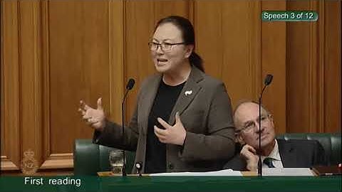 Telecommunications (New Regulatory Framework) Amendment Bill- First Reading - Video 3