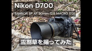 【極美品】タムキュー TAMRON 90mm Macro キヤノン用（172E） mqdefault.jpg