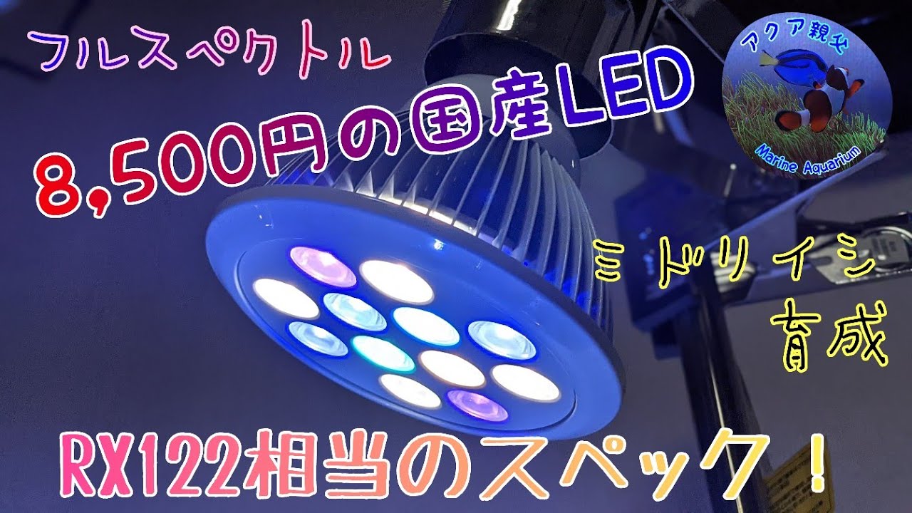 LEDライト3点セット グラッシー B.R.S Lighting Master