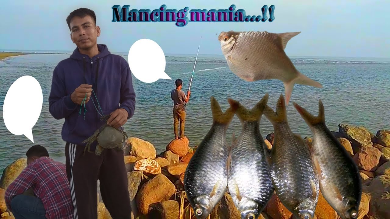  Mancing  Mania mantap  YouTube