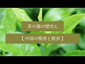 茶の湯スタディ - 茶の湯の歴史① 中国の喫茶と飲茶