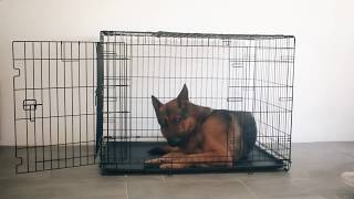 Металлическая клетка для собак Ferplast Dog Inn Металлическая клетка для собак Ferplast Dog Inn