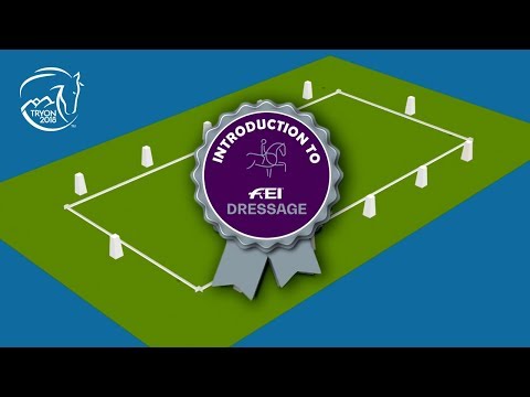 The rules of Dressage | FEI World Equestrian Games™ Tryon 2018