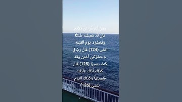 سورة طه Surah Taha | قرٱن. #إسلام_صبحي #اكسبلور #المصحف