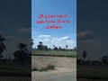 أنا بقدم اعتذاري لكل واحد كان محتاج يتهزق ومهزقتوش Trending Shorts 