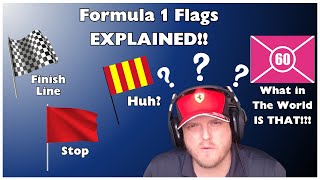 Understanding Formula 1's Flag System | Beginner's Guide | F1