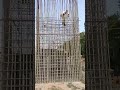 Brave Traffic Constable Rescues Cat Trapped in Construction Site