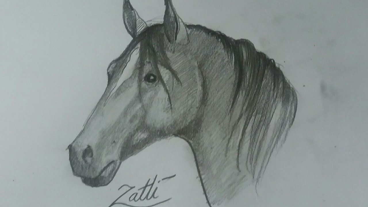 Como desenhar um cavalo árabe  Tutorial de desenho passo a passo