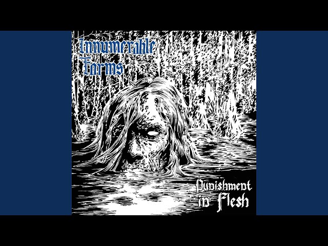 Innumerable Forms - Re-Contaminated