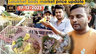 parrots price decreased in 17-12-2023 l Lalukhet birds market l Bidding \& pice in Urdu \/Hindi#birds