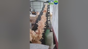 How is OSB  made? Osb Board Production Line Making Machine (Oriented Strand Board) production line