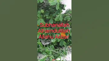 #Subhanallah, Alhamdulillah, La ilaha illallah, Allahu Akbar'#bdgreen