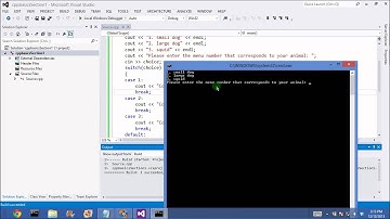 C++ Basics Tutorial For Beginners Section 2 using Visual Studio - If statements