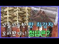 꼬들꼬들한 맛, 굴비&홍어&과메기 #별미 [어영차바다야 다시보기]