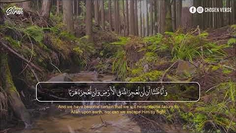Surah Al jinn   سورة الجن لصاحب الصوت الجميل القارئ احمد خضر