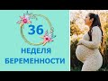 36 Неделя Беременности. Развитие плода и ощущения мамы