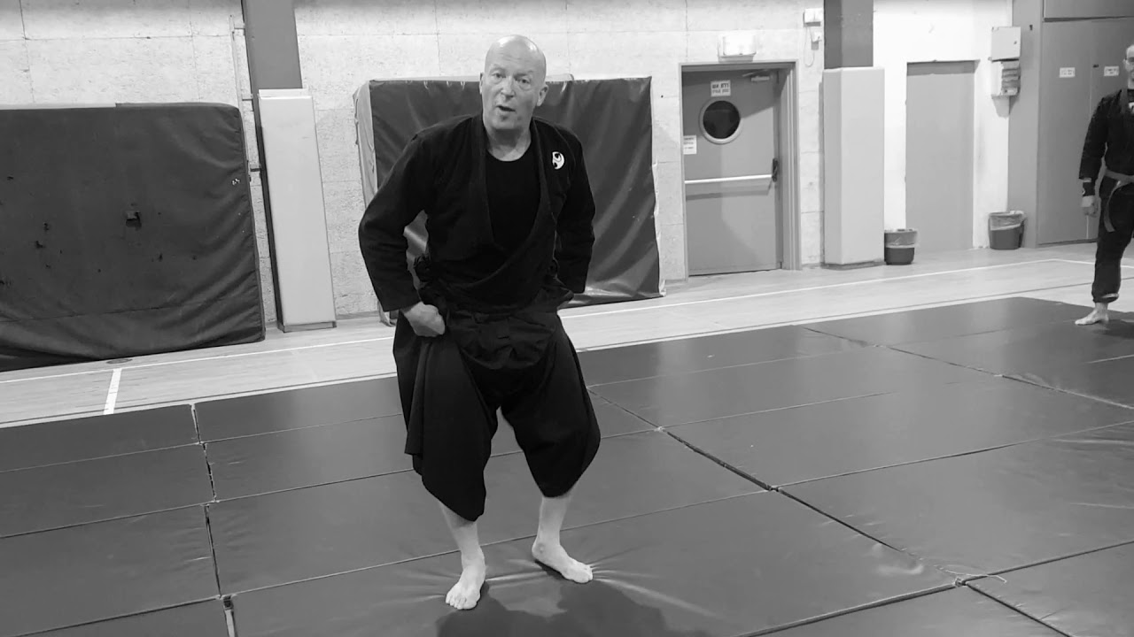 Push Kick training tips Addendum to 3rd week AKBAN Ninjutsu YouTube