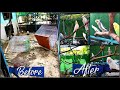 Cleaning my Birds Aviary - Cockatiel Companion