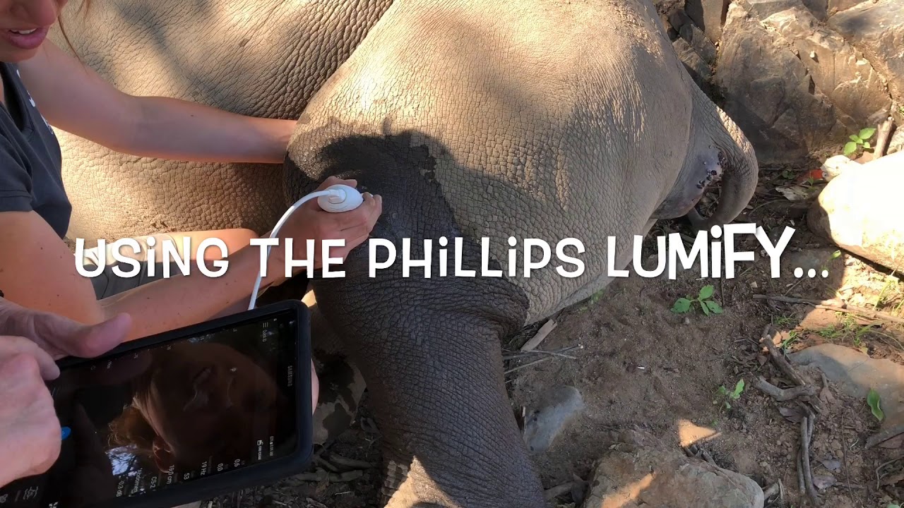upload image Care for the Wild Donation from Core!