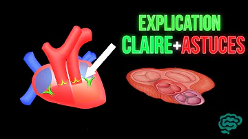 Quels sont les deux types de valves cardiaques ?