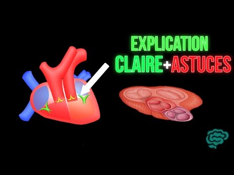 Vidéo: Quelle est la fonction de la valve semi-lunaire aortique ?