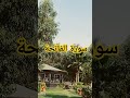سورة الفاتحة 