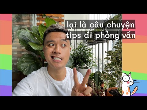 REACTION NHẸ 01 CHIẾC VIDEO HƯỚNG DẪN PHỎNG VẤN TRÊN TIKTOK!